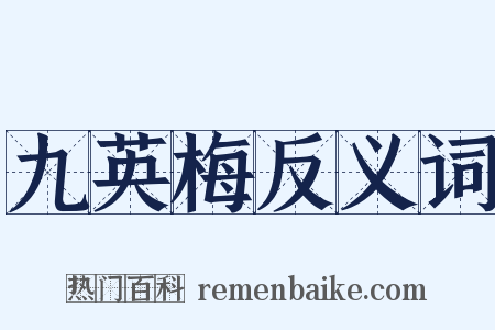 九英梅反义词是什么意思的图片